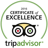 Trip Advisor logo